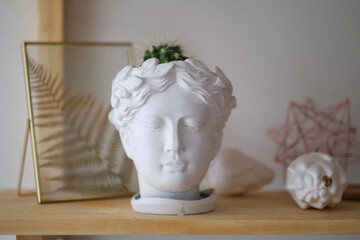 human bust with a potted plant as a spikey hairstyle of Dried Hydrangea flowers
