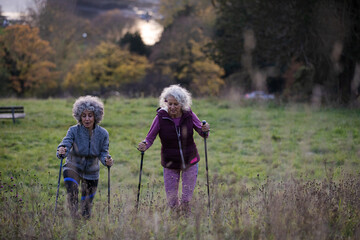 Active senior women friends with walking sticks in autumn park