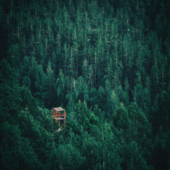 house in the forest