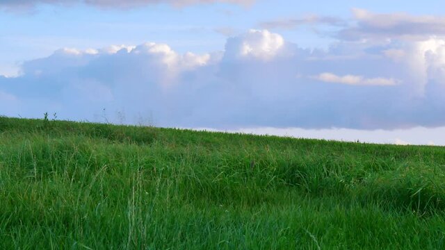 日陰の草原とゆっくり流れる大きい雲