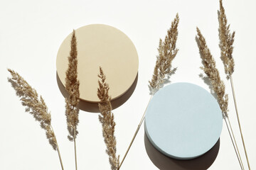 Two empty pastel round platform podium for cosmetics or products and dry grass plant on white background. Top view