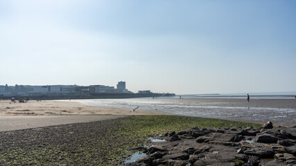 New Brighton Beach at low tide