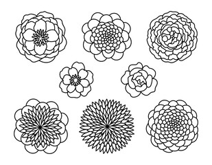Vector line handdrawn illustration set with stylized decorative Peony flowers. Isolated on white background