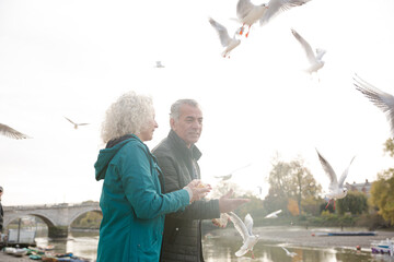 Affectionate senior couple watching birds flying at river