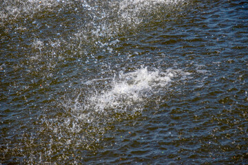 Jets of water in a city fountain on the lake in August