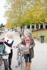 Obraz premium Smiling active senior women walking bicycles in autumn park