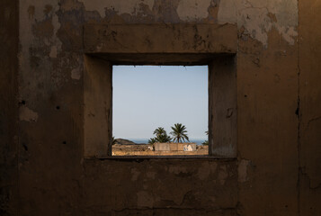 Fototapeta na wymiar View of palm trees on window frame