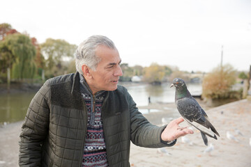 Senior man feeding pigeons at pond in park
