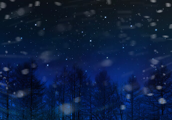 落葉した木立に粉雪が舞う、冬の星空創造アート