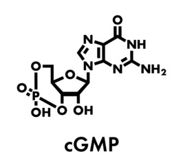 Cyclic guanosine monophosphate (cGMP) molecule. Important second messenger, produced by guanylate cyclase, broken down by phosphodiesterase (PDE). Skeletal formula.