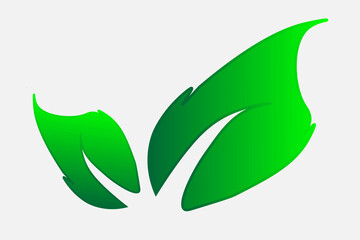 A pair of Leaf icon vector isolated on white background. Leaf icon.Elements for eco and bio logos.