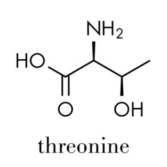 Threonine (l-threonine, Thr, T) amino acid molecule. Skeletal formula.