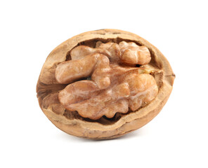 Tasty walnut in shell isolated on white