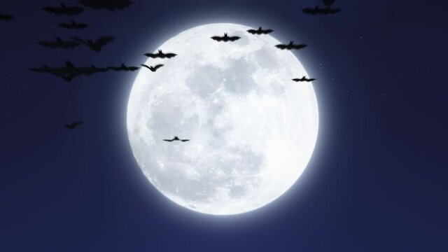 Bright glowing full moon in the sky. Flying bats silhouettes. Mystery Moonshine. Dark blue night, evening sky. Halloween creepy horror mood. 3D render. 4K aerial lunar animation