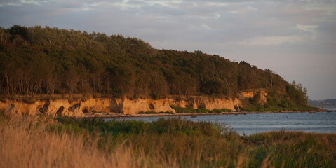 Steilküste in Timmendorf  (Insel Poel) im Abendlicht