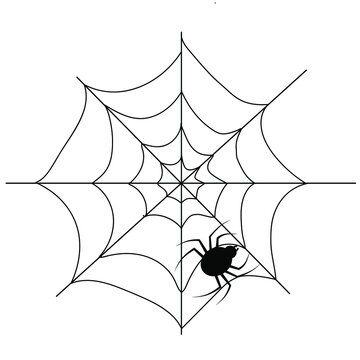 Black spider on a cobweb. Spider on white background isolated. Halloween holiday vector cobweb icon.