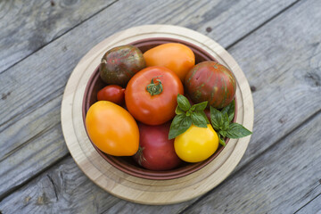 bowl with red and yellow tomatoes on gray plank wooden background.harvest time. autumn. natural food. 