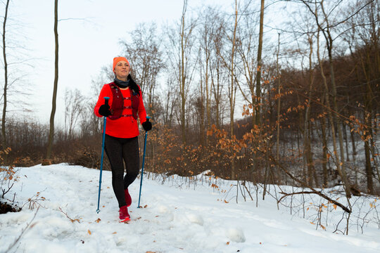 Woman Nordic Walking in Woods on Winter Day. Female Nordic Walker Walking Alone with Trekking Poles in Forest on Cold Winter Day.