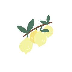 A ripe lemon fruit on a branch. Cartoon illustration of a yellow fruit on a white isolated background. Hand-drawn organic food products. Tropical treats. The concept of healthy eating.