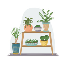 The flat illustration with house pants in pots. Planting. Decorative plants in the interior of the house. Flat style.