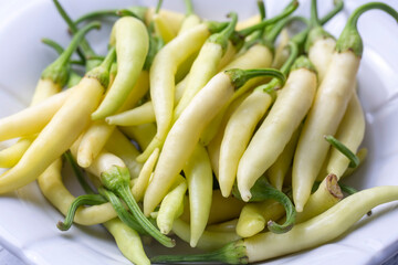 Fresh and organic yellow colored small hot peppers