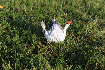 3D modular origami paper swan handmade with white paper – an example of craftwork and handwork requiring craftsmanship