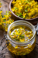 Preparation of St. John's wort oil from fresh blooming Hypericum perforatum plant (Turkish name; sari kantaron yagi)