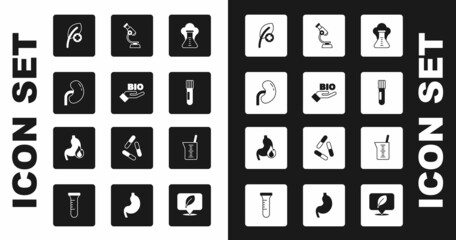 Set Chemical explosion, Bio healthy food, Human kidney, Leaf or leaves, Test tube and flask, Microscope, Laboratory glassware beaker and Stomach heartburn icon. Vector