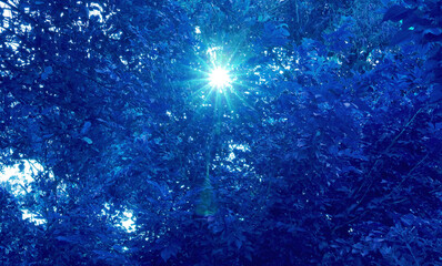 Pop art surreal style royal blue colored bright sunlight shining through the foliage