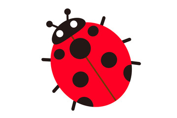 てんとう虫のイラスト