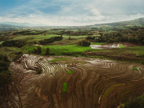 Aerial view of a muddy rice field in Canlaon Negros Oriental, Philippines