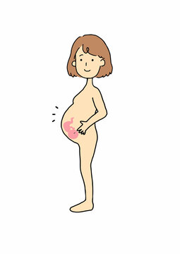 笑顔の裸の妊婦と胎児のイメージイラスト