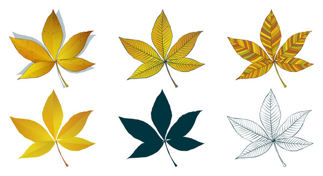 Big set of vector fall tree leaf shapes drawing in different styles: hand-drawn sketch, silhouette, flat, cartoon are isolated on white background. Yellow chestnut leaves coloring sheet.