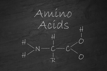 Text Amino Acids and chemical formula on black slate surface