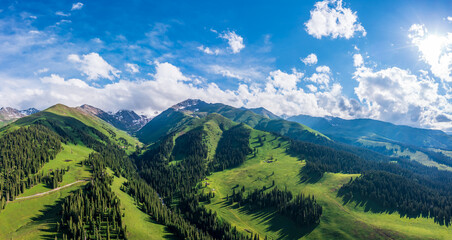 Naklejka premium Green grassland and mountain with forest natural landscape in Nalati grassland,Xinjiang,China.Aerial view.Nalati Grassland is China's sky grassland.