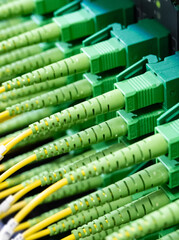 データセンターの光ケーブル