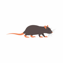 Rat. Animal rat, vector illustration