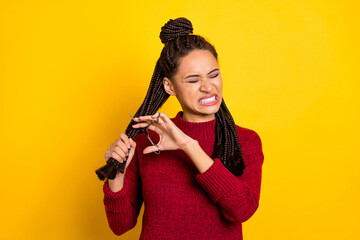 Obraz premium Photo of sad angry dark skin lady wear red pullover cutting braids isolated yellow color background