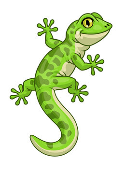 Cute cartoon character of green gecko