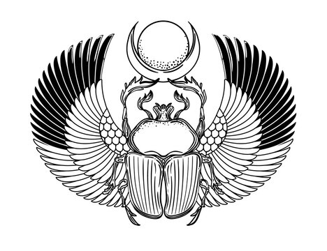 Scarabaeus sacer, Dung beetle. Sacred symbol of in ancient Egypt. Fantasy ornate insects. Isolated vector illustration. Spirituality, occultism, chemistry, occult sun tattoo.