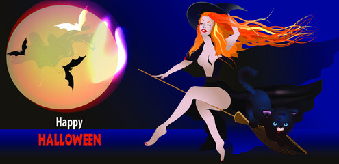 witch flying on a broom with a cat. Halloween design