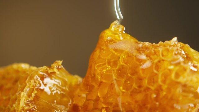 Sweet honey flowing on honeycomb close-up. Gathering fresh bee honey dripping on honey comb. Healthy and eco natural sugar food. 