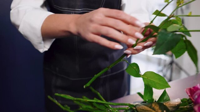 Gardening and floral design concept - close up of woman arranging flowers and cutting stems pink roses with pruning shears at home or studio.