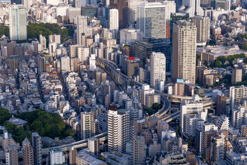 Tokyo Tower with skyline cityscape in Japan