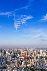 Fototapeta premium Tokyo Tower with skyline cityscape in Japan