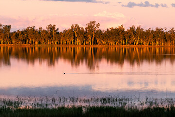 Tranquil lake scene with reflections and small bird in pretty late afternoon light