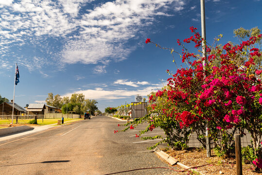 Main Street of a remote country town with cerise bougainvillea in foreground and blue sky with cloud