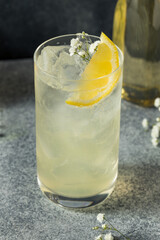 Cold Refreshing Elderflower Drink
