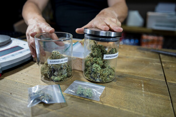 Crop man with jars of dry marijuana flowers in workspace