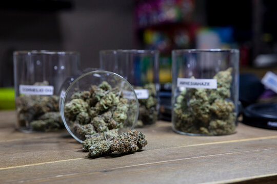 Assorted dry marijuana flower buds in jars on table